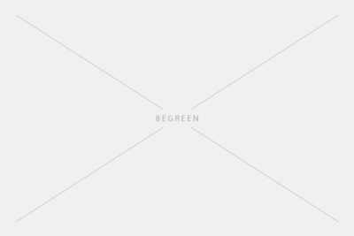 Easy care houseplants