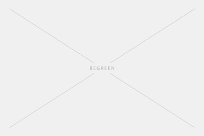 Easy care houseplants