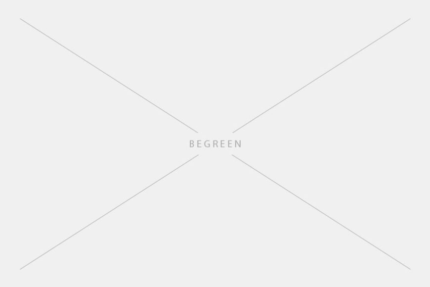 Easy care houseplants